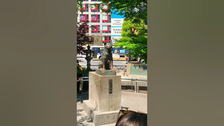 Hachiko statue in Japan #discoverjapan #loyal #dog #shorts #short #japantravel #japantourism #viral