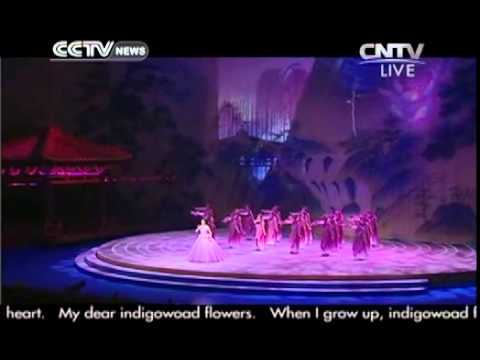 Cultural performance: Chinese Folk Song Solo-The Indigowood Flowers