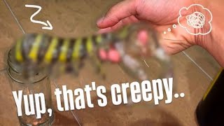 Does This Make Me Weird??