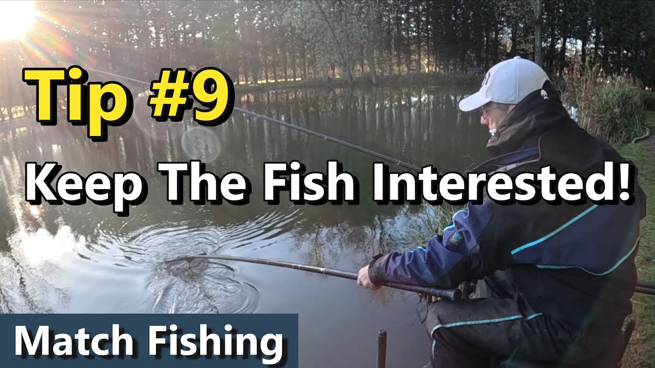 Keep the Fish Interested | Be Productive! - YouTube