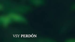 Vsy - Perdón