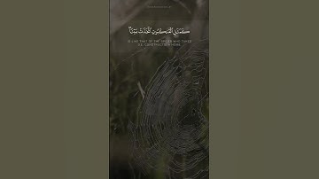 ( وإن أوهن البيوت لبيت العنكبوت لو كانوا يعلمون) تلاوة رائعة للقارئ عبدالرحمن مسعد