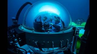 SFA Bio Presents The Great Biologists S2 Ep 10 Silvia Earle: Her Deepness
