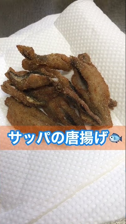 釣りいくちゃんねる Youtube