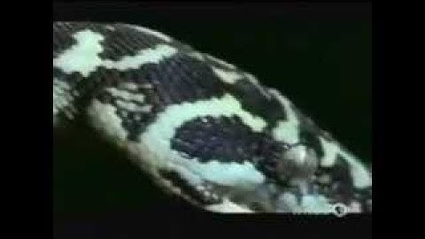 Mathematics - The Language of the Universe - Full Documentary Films