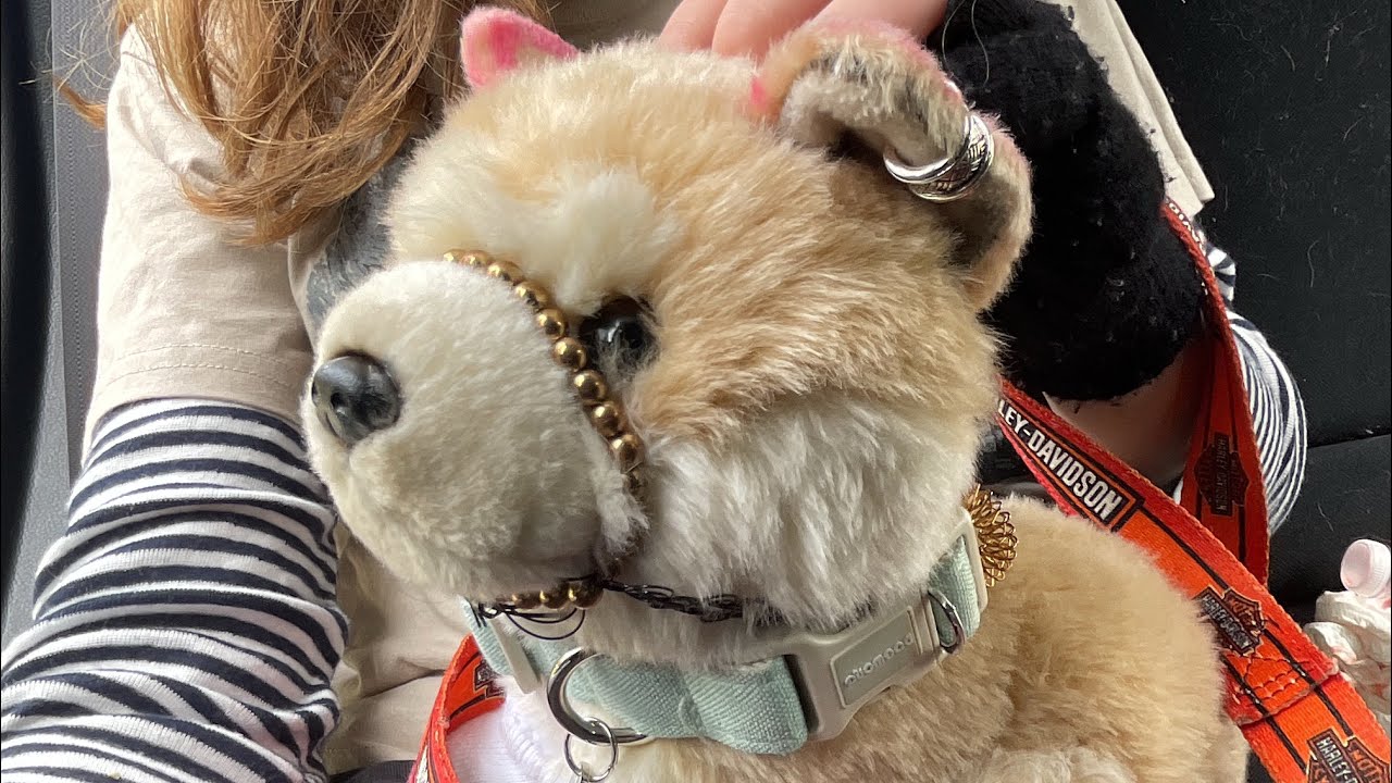 Vlog w/ me and my essa - Dune