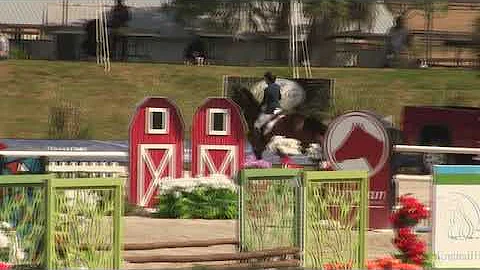 Video of RAVENNA ADELHEID Z ridden by Tamara Morse...