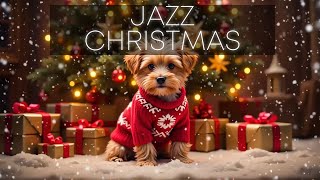 Christmas Jazz Fusion Sounds ✔️ Christmas Jazz Sessions ✔️