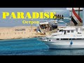 морская экскурсия PARADISE Хургада день 9 часть 1