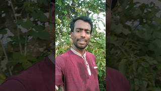 আমার মন মজাইয়ারে আনোয়ার ইসলামের | OldBanglaFolkSongs | TheCoveRsMusicBauL | AnowarHasanTvYouTube |