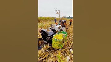 advanced machine for corn harvesting #shorts