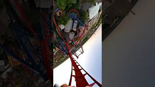 Sheikra at Busch Gardens Tampa