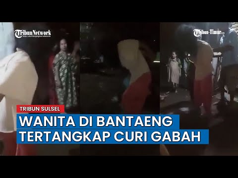 Video: Pencirian Dinamik Dinamik Berbunga Dalam Beras Menggunakan Imej RGB Masa Yang Diambil Oleh Lapangan