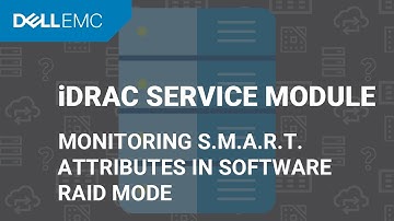 Monitoring S.M.A.R.T. attributes in software RAID mode on Windows operating system