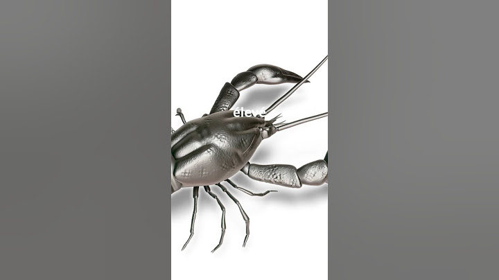 KI-67 : Ce pourcentage qui peut changer le traitement d'un cancer ! #cancerdusein, #chimiothérapie