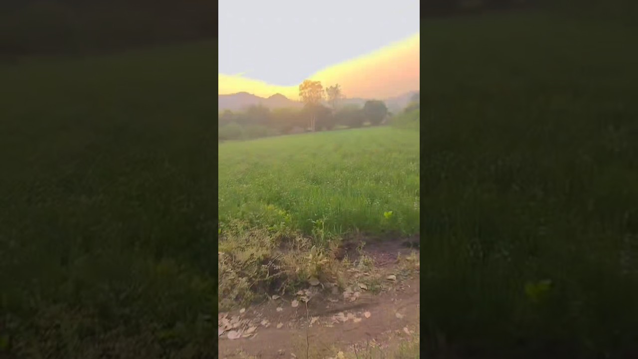 aadiwasi blogger video 📸📷 