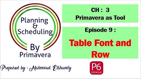 Planning Course - CH3/ E9 : Table Font and Row in Primavera