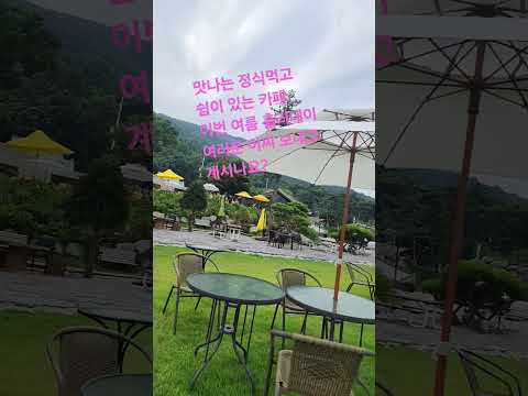 #챗gpt강사최영강화도 카페 #챗지피티강사최영 #유튜버 #ai강사최영#ai리더러시