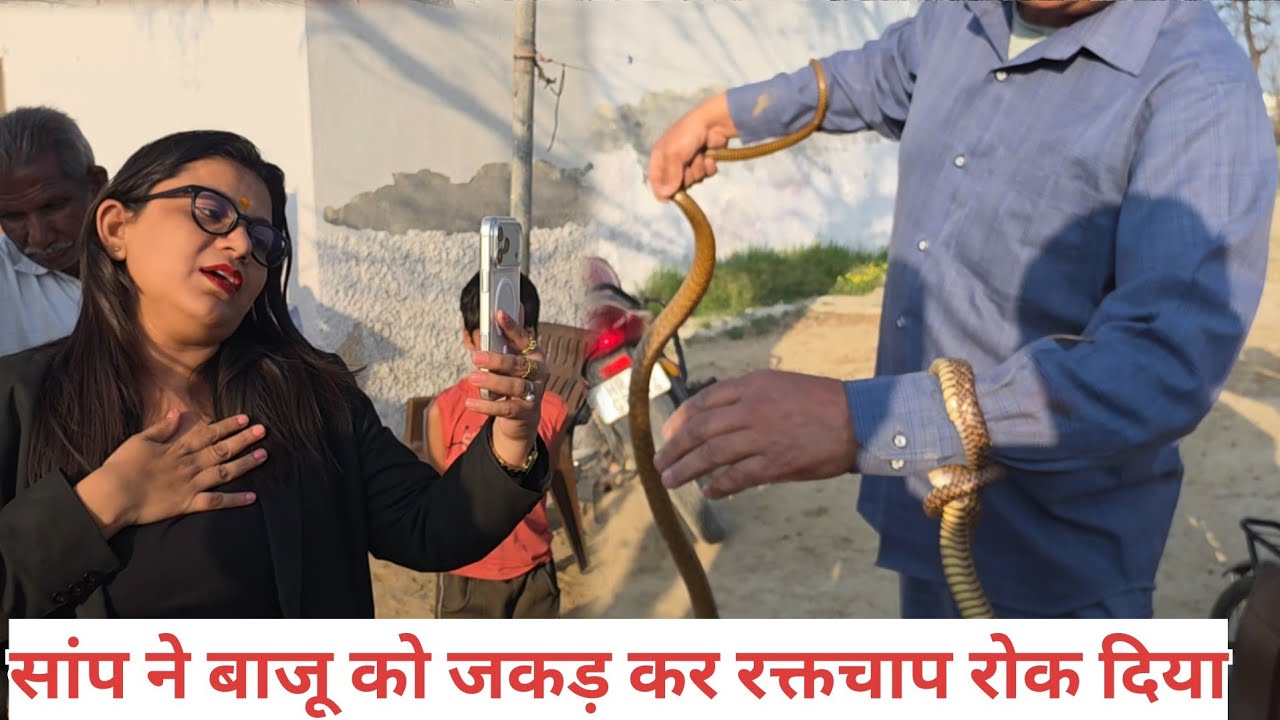 सांप ने बाजू को जकड़ कर रक्तचाप रोक दिया /// स्नेकमैन हरियाणा सतीश फफड़ाना 9255130130