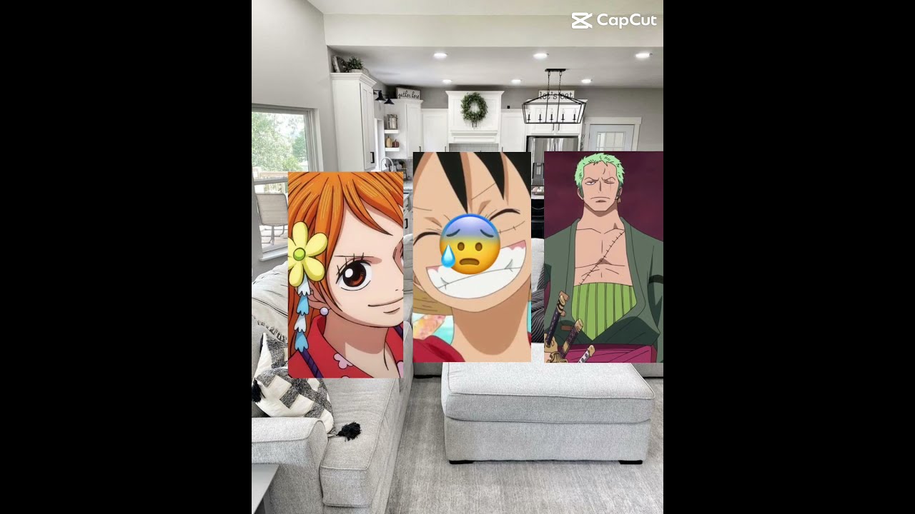 Luffy Shows Nami A Pic 