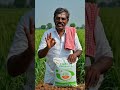 Increase Soil Fertility With IMO . #microbes #soilhealth #soilfertility #savesoil #ai #farming