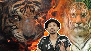 Wujud Ke Harimau Jadian?