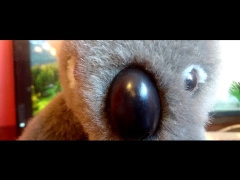 GADAJĄCE PLUSZAKI - POZYWAM CIĘ DO SĄDU