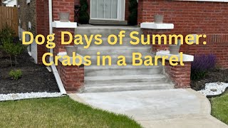 Dog Days of Summer: Crabs in a Barrel (A Hidden Gem S4, E3) Front Yard