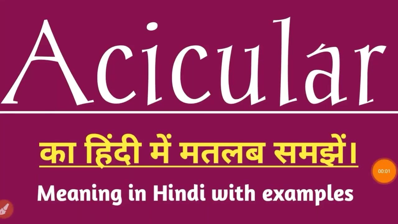 Acicular meaning in hindi /Acicular ka hindi me matlab samjhe /healthy english classes
