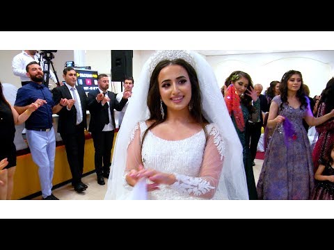 Tarek Shexani - Fener & Felek - Part02 - Ross Deko - Kurdische Hochzeit by Dilocan Pro