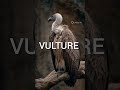 पंछियों के नाम( Birds Name) #shorts #kidseducationvideo #kidsvideo
