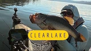 Chasing Monster B In Clear Lake California The Top Ranked B Lake
