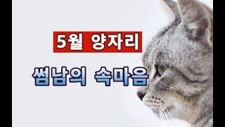 (사천신비)5월 타로운세- 양자리