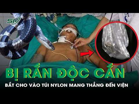 Man bitten by krait catches snake in plastic bag and brings it straight to the hospital |SKDS