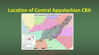 High Conservation Value (HCV): Central Appalachian Critical Biodiversity Area