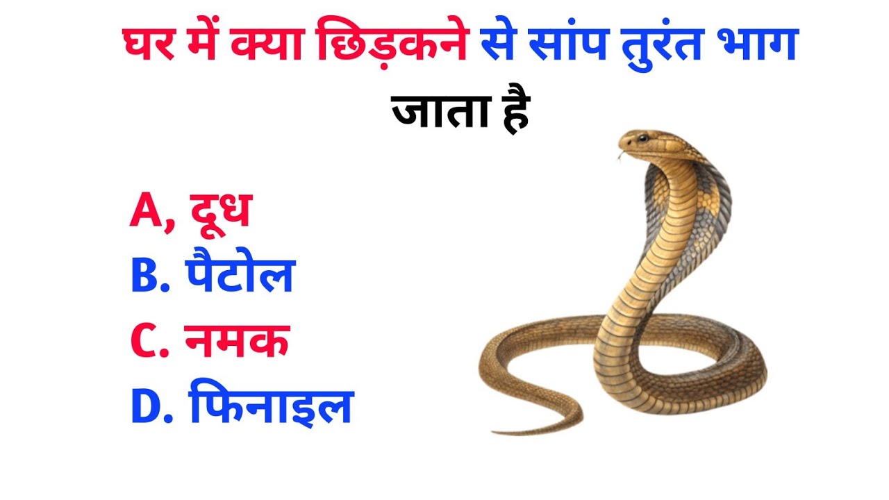 GK Quiz Questions | General Knowledge Questions & Answers | Competitive Exam GK Test