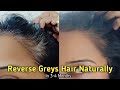 Grey Hair को फिर से Black / Brown करें Natural तरीके से | KALIKA HAIR OIL to Reverse Grey Hair.