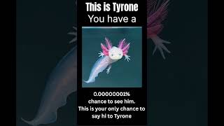 #viral #funny #memes #fyp