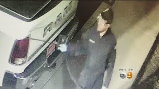 Caught On Video: Vandals Damage More Than 90 Vehicles With Acid Attack At Dealership, Manager Says