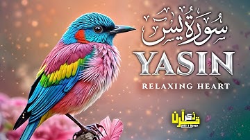 Surah Yasin (Yaseen) سورة يس | This Majestic Voice Will HEAL Your SOUL إن شاء الله | Ittaq Ullah