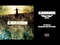 Carrion - Wonderful Life