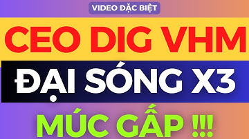 CEO DIG VHM ĐẠI SÓNG X3, TOP SIÊU CỔ SẮP NỔ