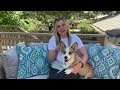 DOG DAYS OF SUMMER: FOOD SAFETY