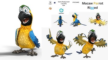 Macaw Parrot Rigged Low-poly 3D model