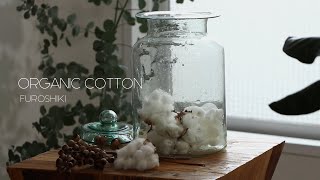 【100cm】オーガニックコットンふろしきと毎日　～organic cotton furoshiki～