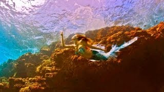 Mermaid swimming in Australia