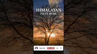 Peaceful Himalayan Flute Music For Morning Meditation | Aparmita Ep. 162 Shorts