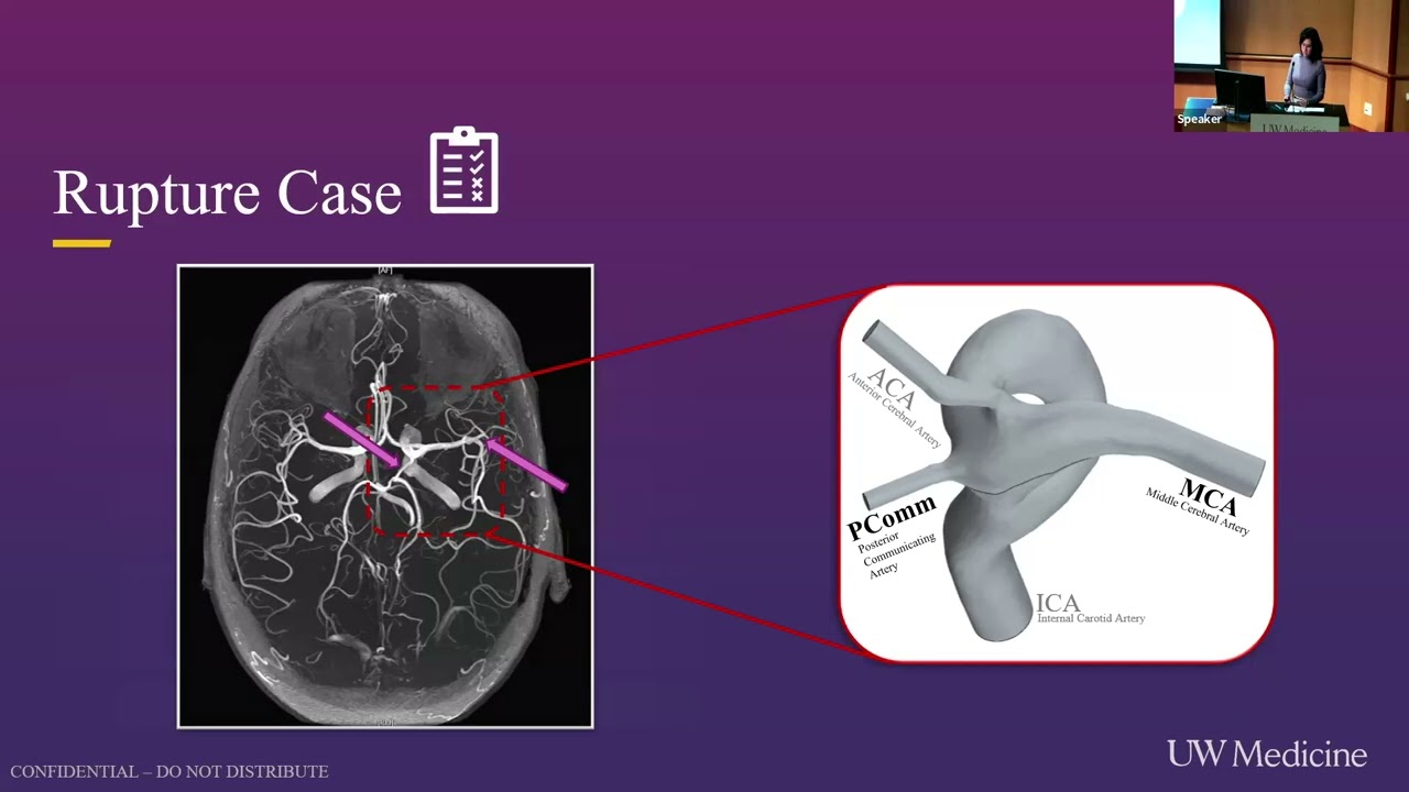 8/15/2025: Lehua Augello • Stroke & Applied NeuroScience Center