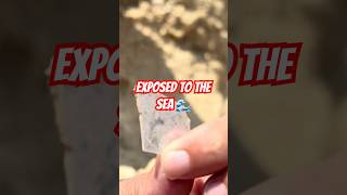 #lookup #fossil formations #seaglass exposed #research