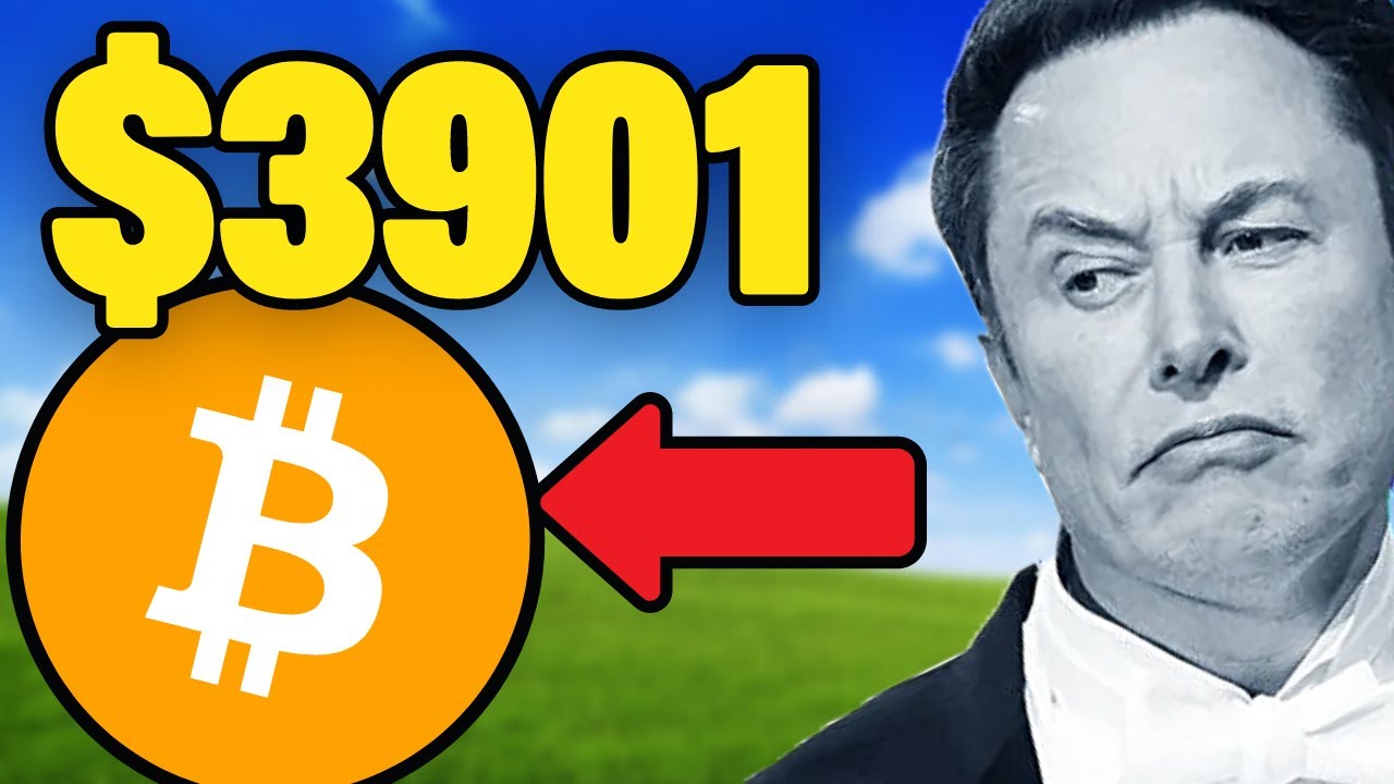 What Is EverGrow? Part 2 - Altcoin Buzz